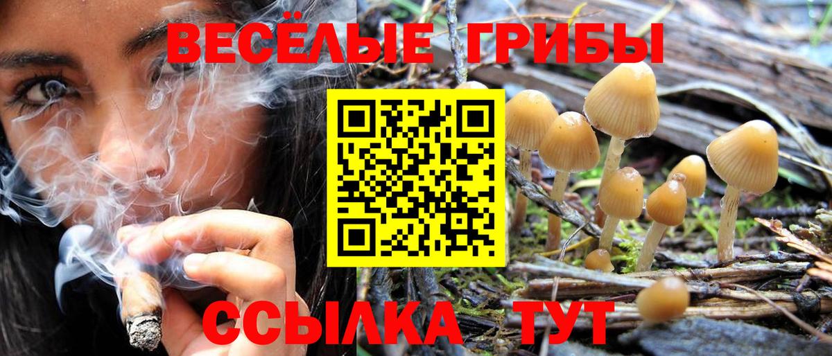 Псилоцибиновые грибы мицелий Усолье-Сибирское