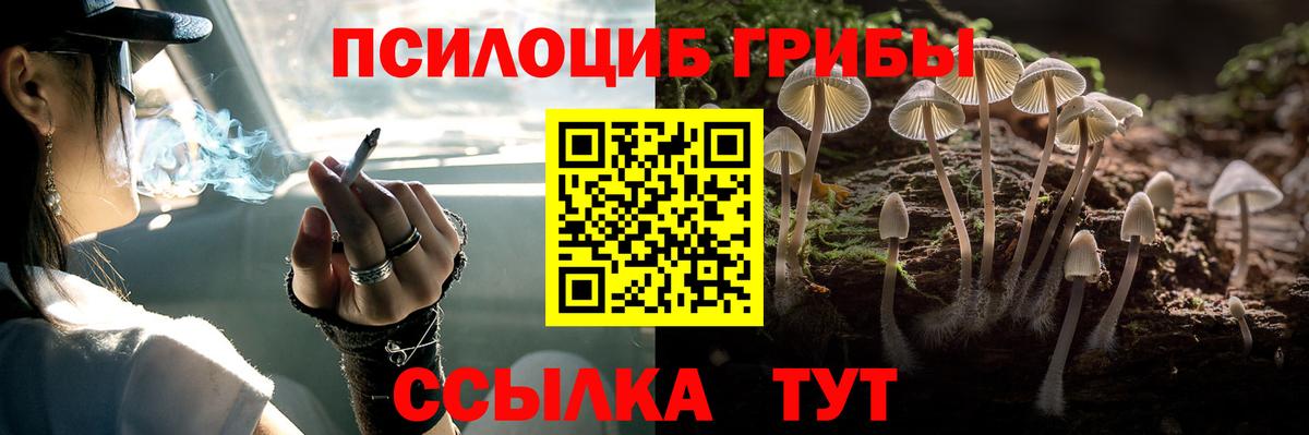 даркнет сайт  Вход с VPN  Усолье-Сибирское  Псилоцибиновые грибы мицелий 